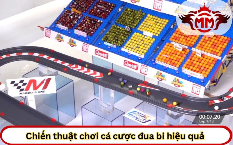 Chiến thuật chơi cá cược đua bi hiệu quả