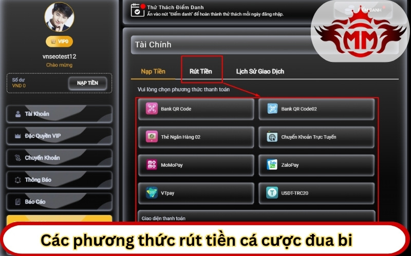 Các phương thức rút tiền cá cược đua bi đa dạng và an toàn.