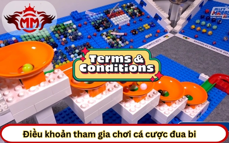 điều khoản tham gia game đua bi