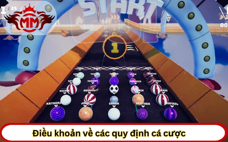 Điều khoản về các quy định cá cược game đua bi