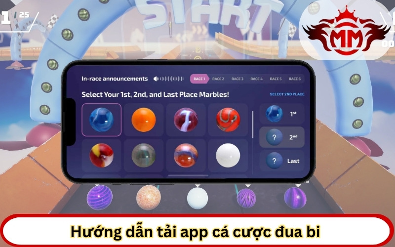 Hướng dẫn tải app cá cược đua bi