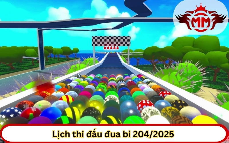 Lịch thi đấu đua bi 204/2025