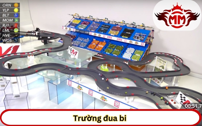 Trường đua bi đa dạng